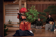 no01-00032_069平成30・2018金剛能楽堂「谷行」（シテ）宇高 竜成