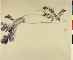 BM-Jap.Ptg.2486・西山芳園 大根図
