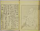 31頁
