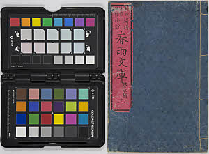 kaimeishōsetsu harusamebunko