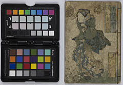 Choukochouharunohanazono