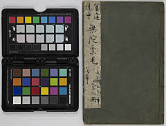 Meidodouchuumudakurige