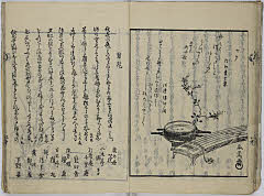 31頁