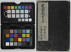 Edomurasakitsuinokasanegi