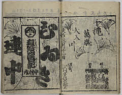 Shikiutsushiirohanikki