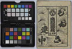 Saruwakasakaesoga、sonomamanimusumenanakusa、sukerokusakuranofutaeobi