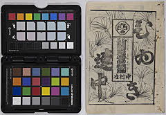 hiyokuchōharunosogagiku