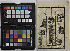 Minoriyoshikoganenokikuzuki、hanarenunakaenishinonagayo