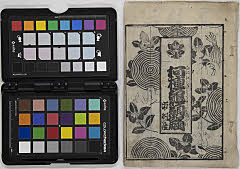 naniwotanetoteukikinokaobure