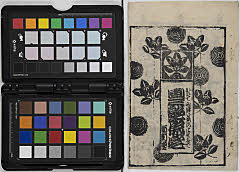 Kaitemitsuirononisefude