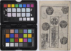 momochidorisakigakesoga