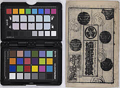 樟紀流花見幕張