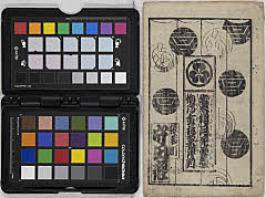 idesoyotsukihananoyukimura hatsukariganegeishahyōban