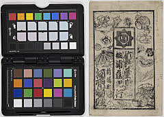 shinbutaiiwaonokusunoki sodegaurakoinomichinoki