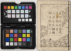 nisemurasakiinakagenji