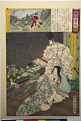 ROM-2009.124.0102(P)・
