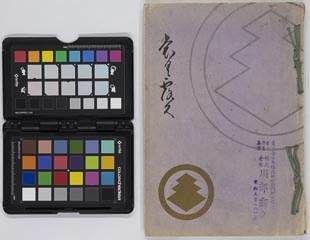 araikenarabiniboukeonzouhinnyūsatsu