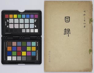 toushiboukeshozouhinnyūsatsu