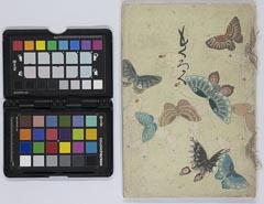 matsudairadanshakukegozouhinnyūsatsu