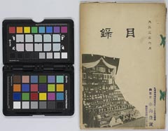 toushiboukeshozouhinnyūsatsu