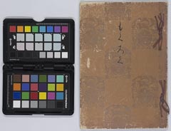 shiroishihakuōkojiiaihinnyūsatsu