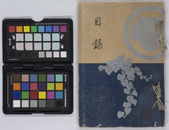 kowadatoyojishiiaihinnyūsatsu