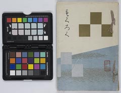 shishakutsuchiyakegozouhinnyūsatsu