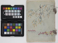 misakikeboukeshozouhinnyūsatsu