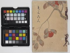 dainikaisendaidatekegozouhinnyūsatsu