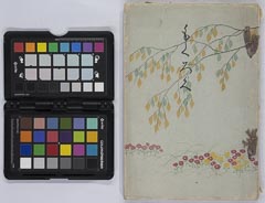 misakikeboukeshozouhinnyūsatsu