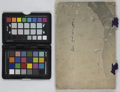 toushikojimakakuyuukenōsakashimatsumorikenyūsatsu