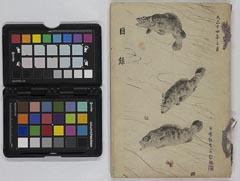 ashikagashikoizumikenarabinitoushiboukenyūsatsu