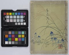 danshakukogakenarabinishimadakeshozouhinnyūsatsu