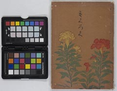 inouehakushinarabiniboukeshozouhinnyūsatsu