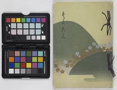 shimamuraasaoshiiaihinnyūsatsu