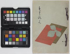 toushiboukeshozouhinnyūsatsu