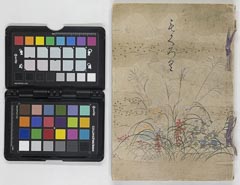 hasegawakeshozouhinnyūsatsu