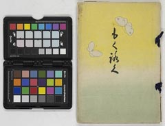 toukyōshisaitamakengunmakengoshozouhintenkannyūsatsu