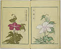10頁