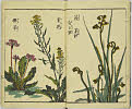 5頁