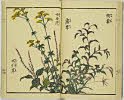 15頁