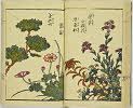 18頁
