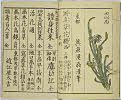 22頁