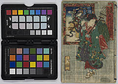 iroshugyousodenotamaboko