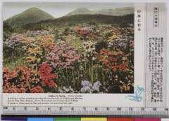 YMRa-003_04(長崎県雲仙市小浜町雲仙320)