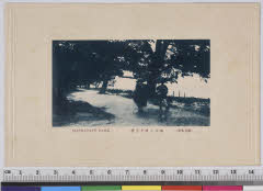 YMRa-005_07(京都府宮津市文珠天橋立公園)