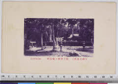 YMRa-007_03(京都府宮津市文珠天橋立公園内)