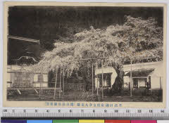 YMRa-009_01(京都府京都市右京区京北井戸町14-6 )
