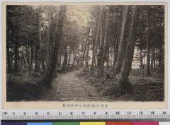 YMRa-009_04(京都府京都市右京区京北井戸町14-6 )
