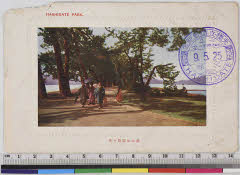 YMRa-019_11(栃木県日光市)